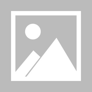 九州娱乐官方网站登录入口（九州娱乐体育、真人、游戏）-布赖顿主场不敌斯旺西，主场战绩岌岌可危的简单介绍